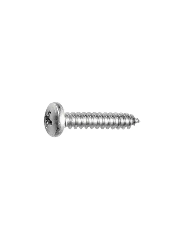 Pagamento Sicuro Viti autofilettanti testa cilindrica UNI 6954 DIN 7981 inox A4