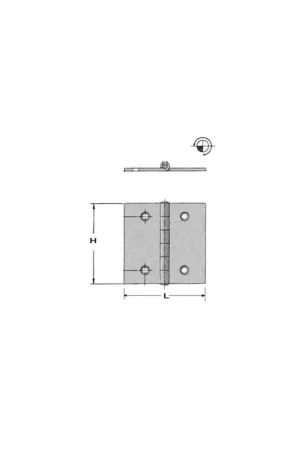 Cerniera AISI 316 50x40 mm modello dritto spessore 2 mm Più Venduto