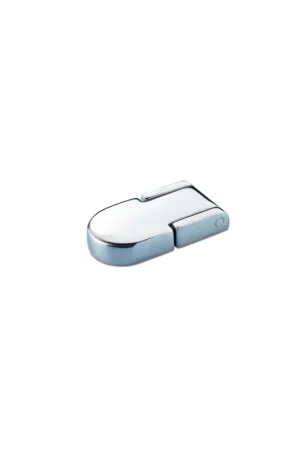 Cerniera per portelli AISI 316 57x30 mm Spedizione Espresso