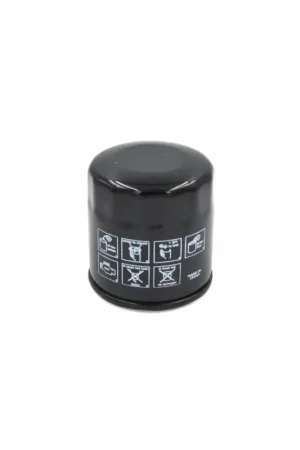 Reso Gratuito Filtro Olio T-Filter Yamaha OEM 5GH-13440-00 9,9/115 HP