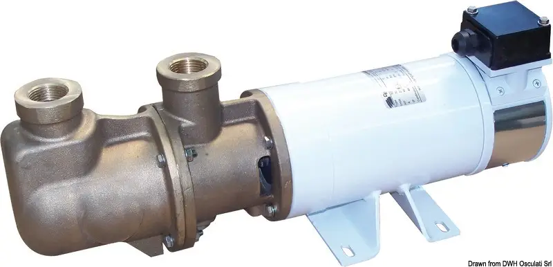 Spedito Oggi Elettropompa autoadescante monovite in bronzo 24V